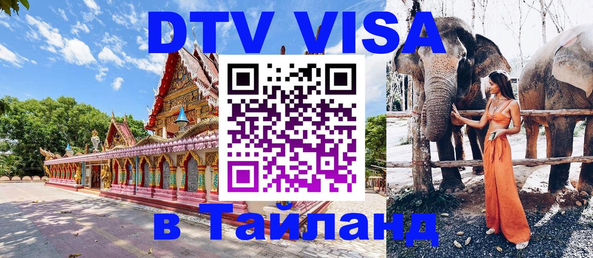 Оформление DTV визы под ключ: стоимость и тарифы, только загранпаспорт - 